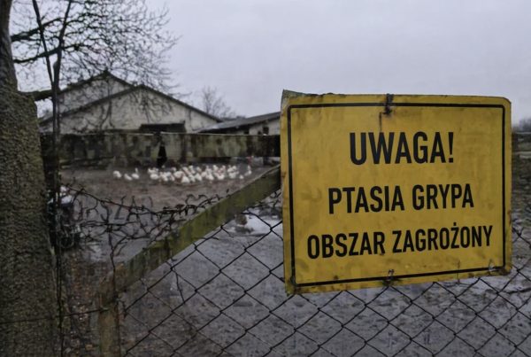 Utylizacja UPPZ filarem bezpieczeństwa sanitarnego